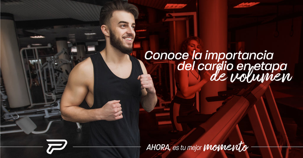 Conoce la importancia del cardio en la etapa de volumen