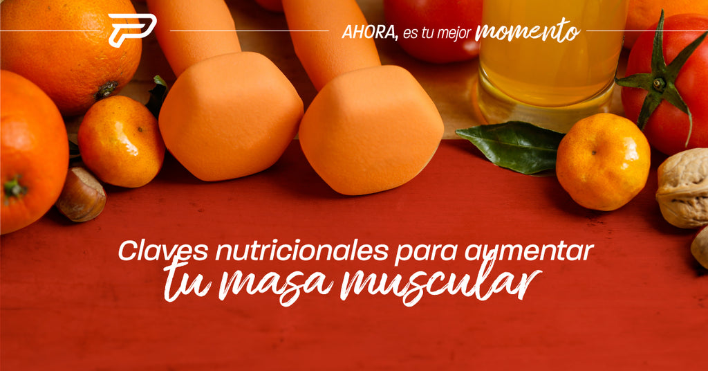 Claves nutricionales para aumentar tu masa muscular