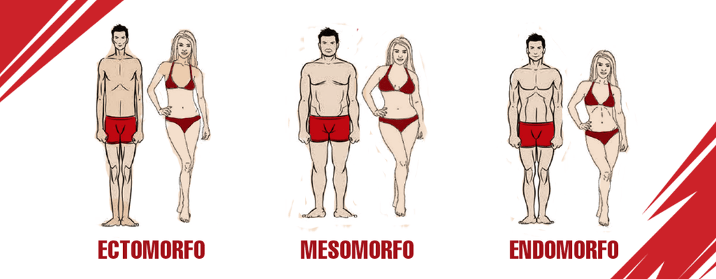 ¿QUÉ TIPO DE CUERPO TIENES?
