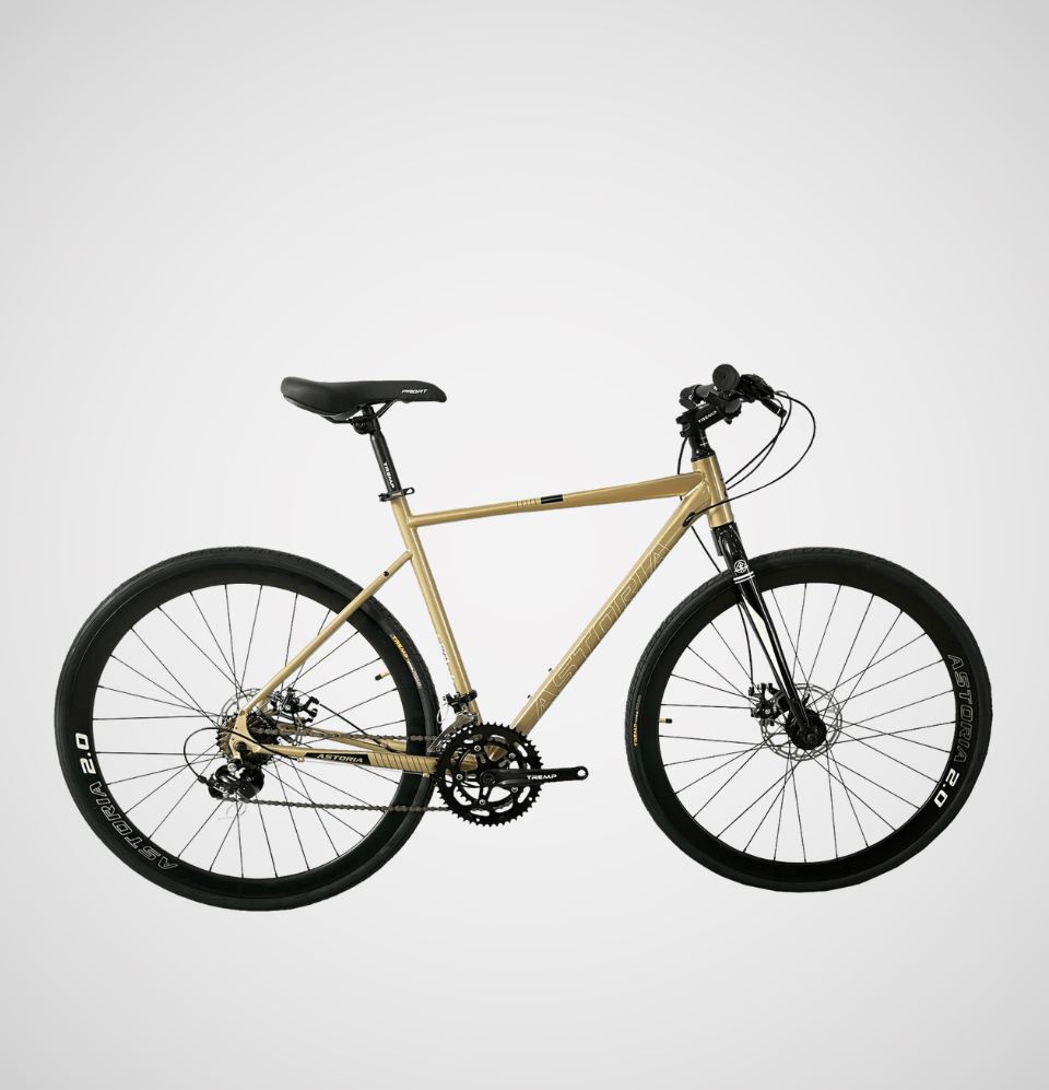 Bicicleta Ruta Astoria con Cambios