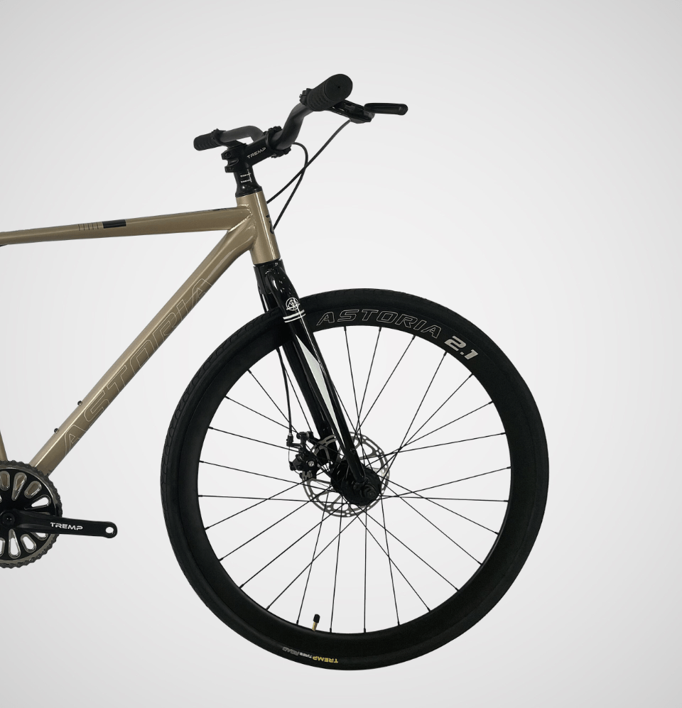 Bicicleta Ruta Astoria 2.1 sin cambios
