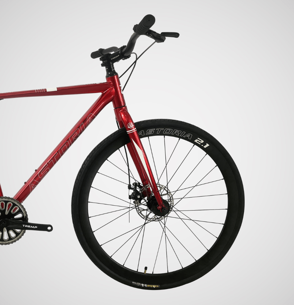 Bicicleta Ruta Astoria 2.1 sin cambios