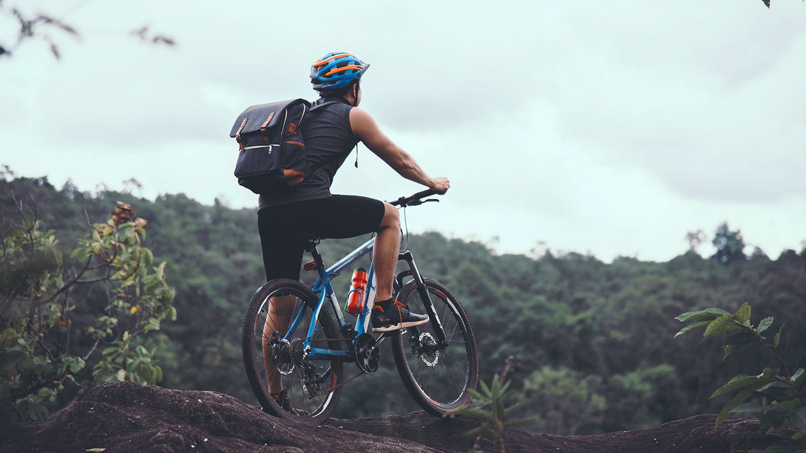 Bicicletas de montaña marca profit