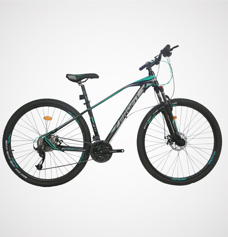 Bicicleta Profit Boston X30 Max - 9 velocidades